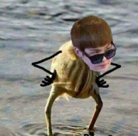 जुंगकूक शर्मा tweet media