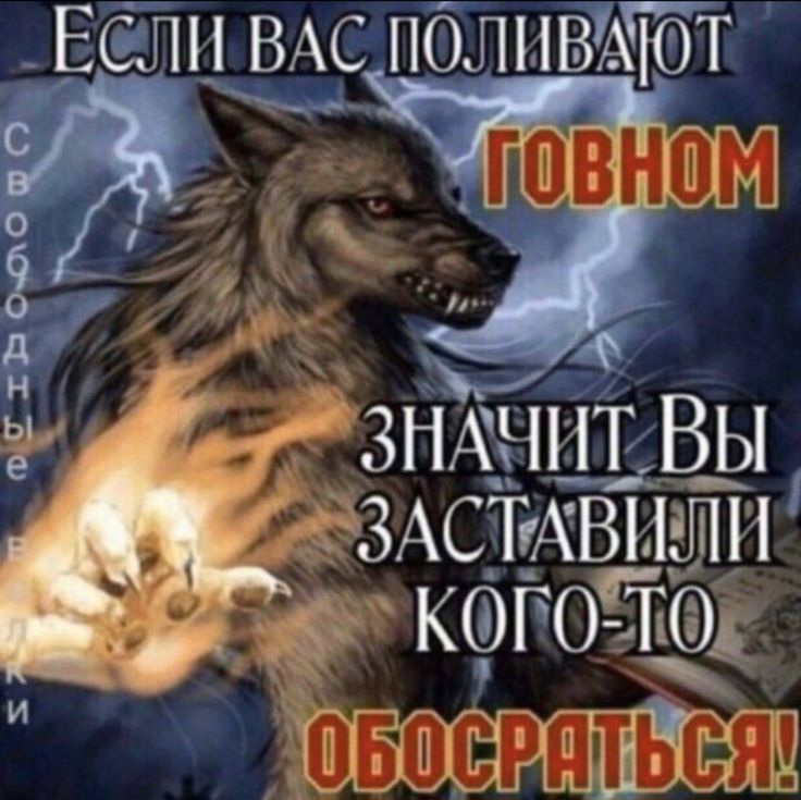 я не u17 tweet media