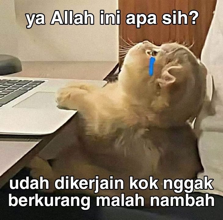 zara🦋 tweet media