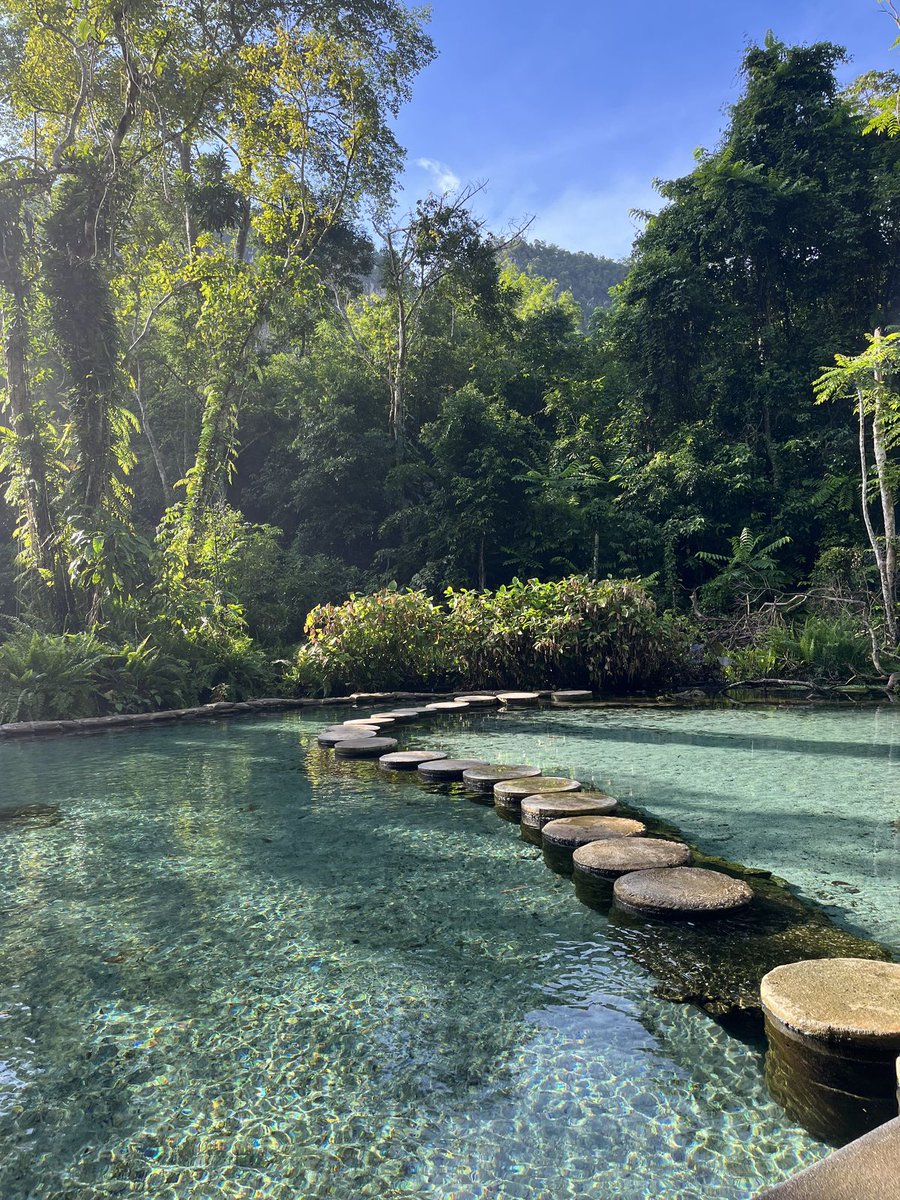 A quiet path of stepping stones across emerald green water.