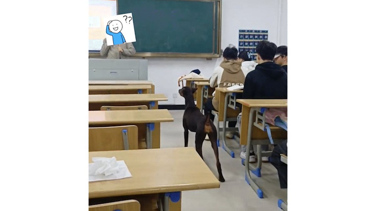 loan lombard tweet media