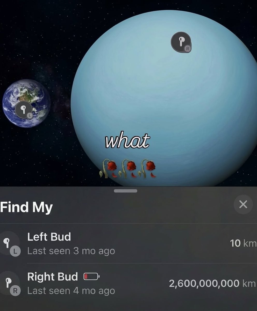 Your Typical Local Man tweet media