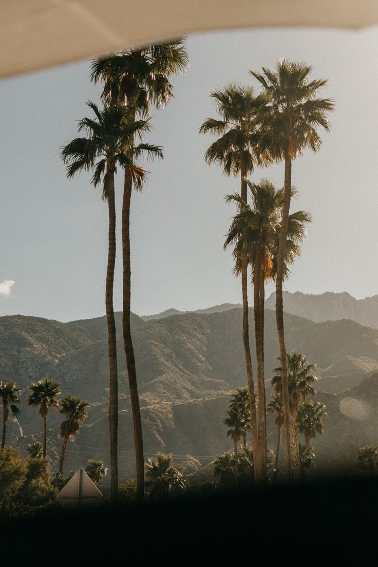 Katie Davis. tweet media