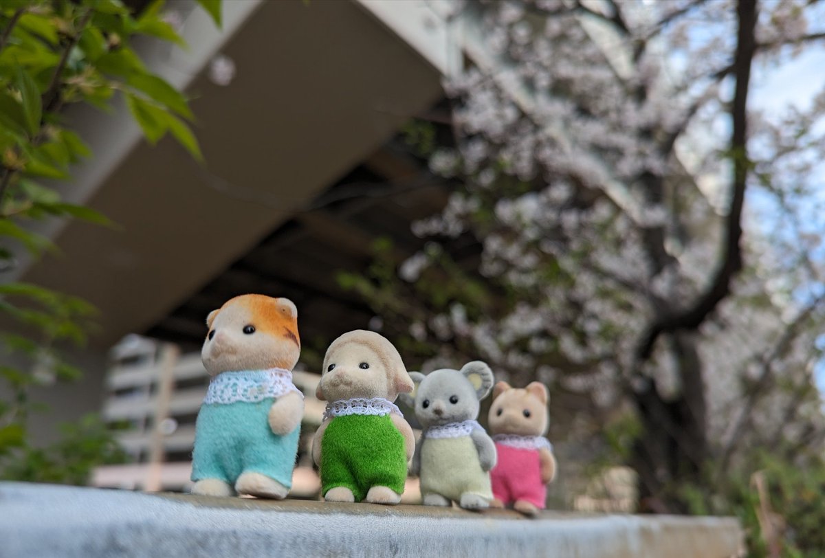 写真を撮るウサギ tweet media