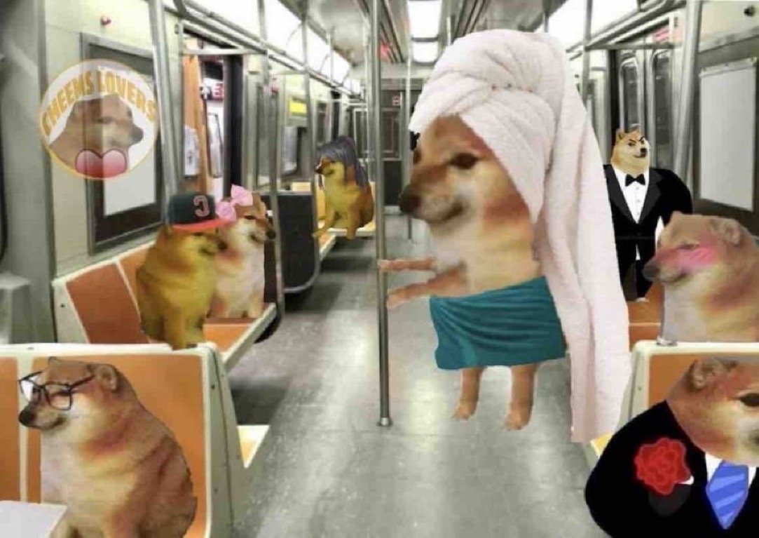 Turista Sexual tweet media