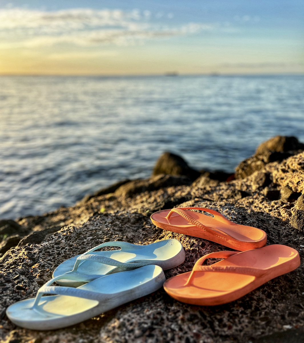 Marie Parr tweet media