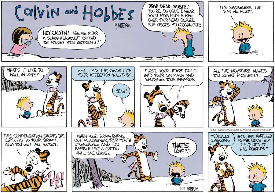 Calvinn_Hobbes's tweet image. Hobbes described love as your brain shorting out, your mouth babbling nonsense, and sweating profusely until she leaves. Medically speaking, he’s not wrong.
#CalvinandHobbes #Relationships