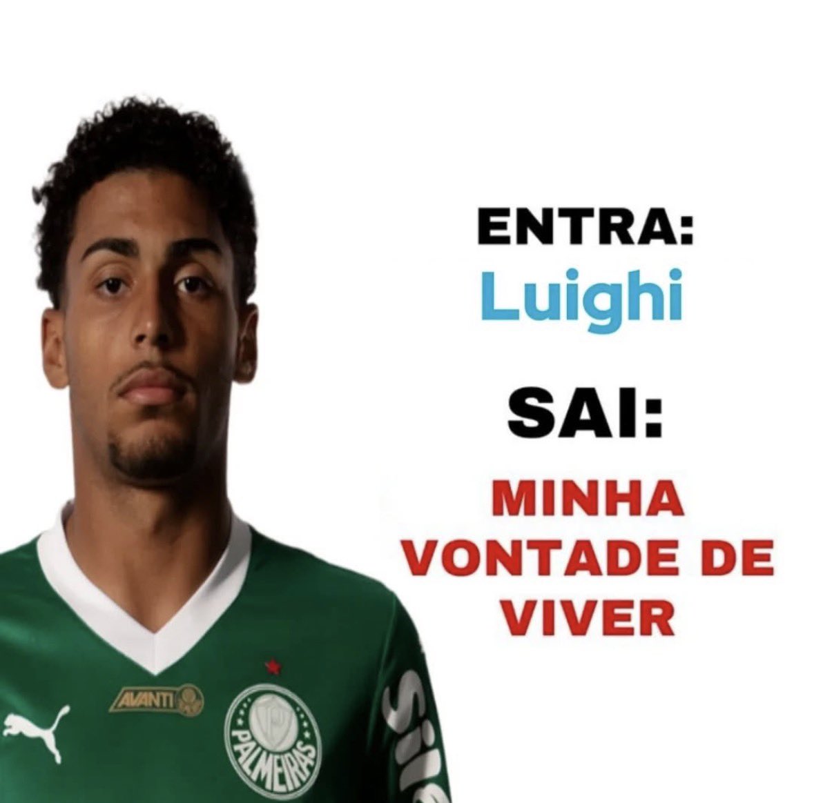 PALMEIRAS HQ tweet media