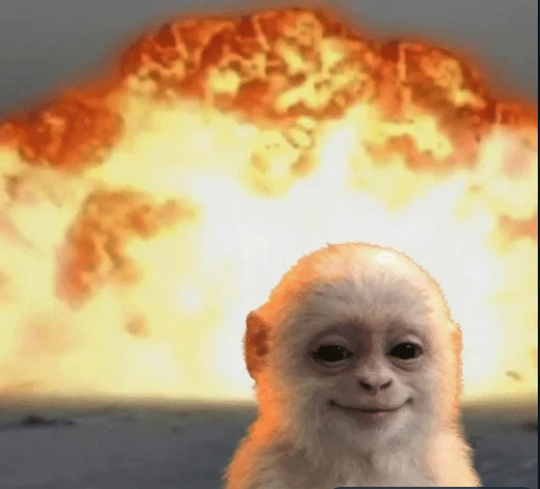 aryan monkey tweet media