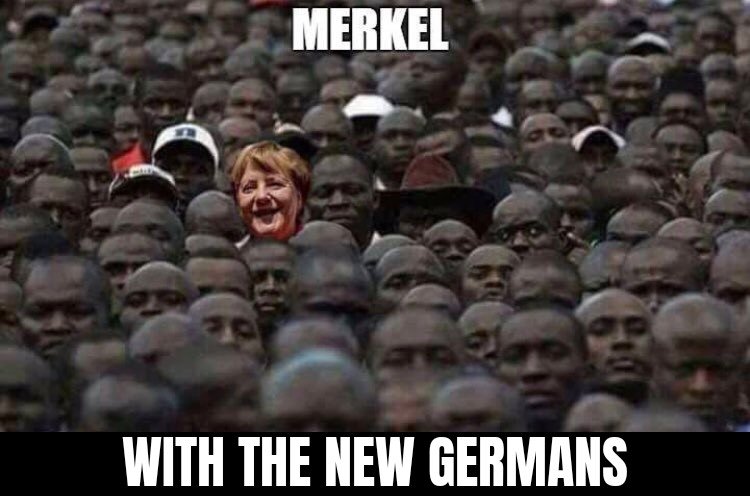 Mike Miller tweet media