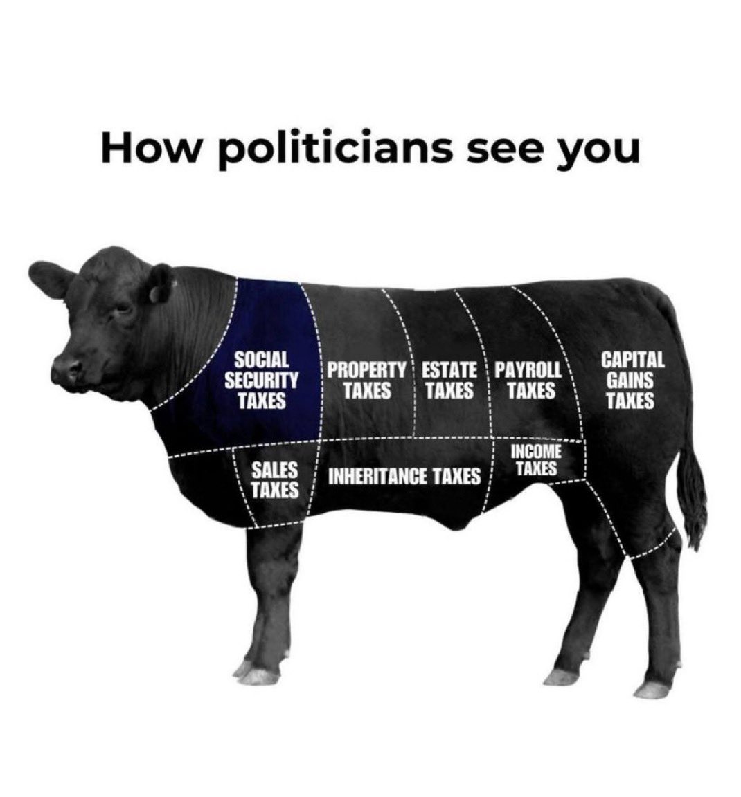 Fascist Colonizer tweet media