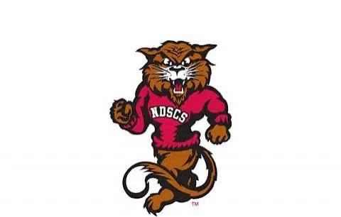 Rosean Perkins tweet media