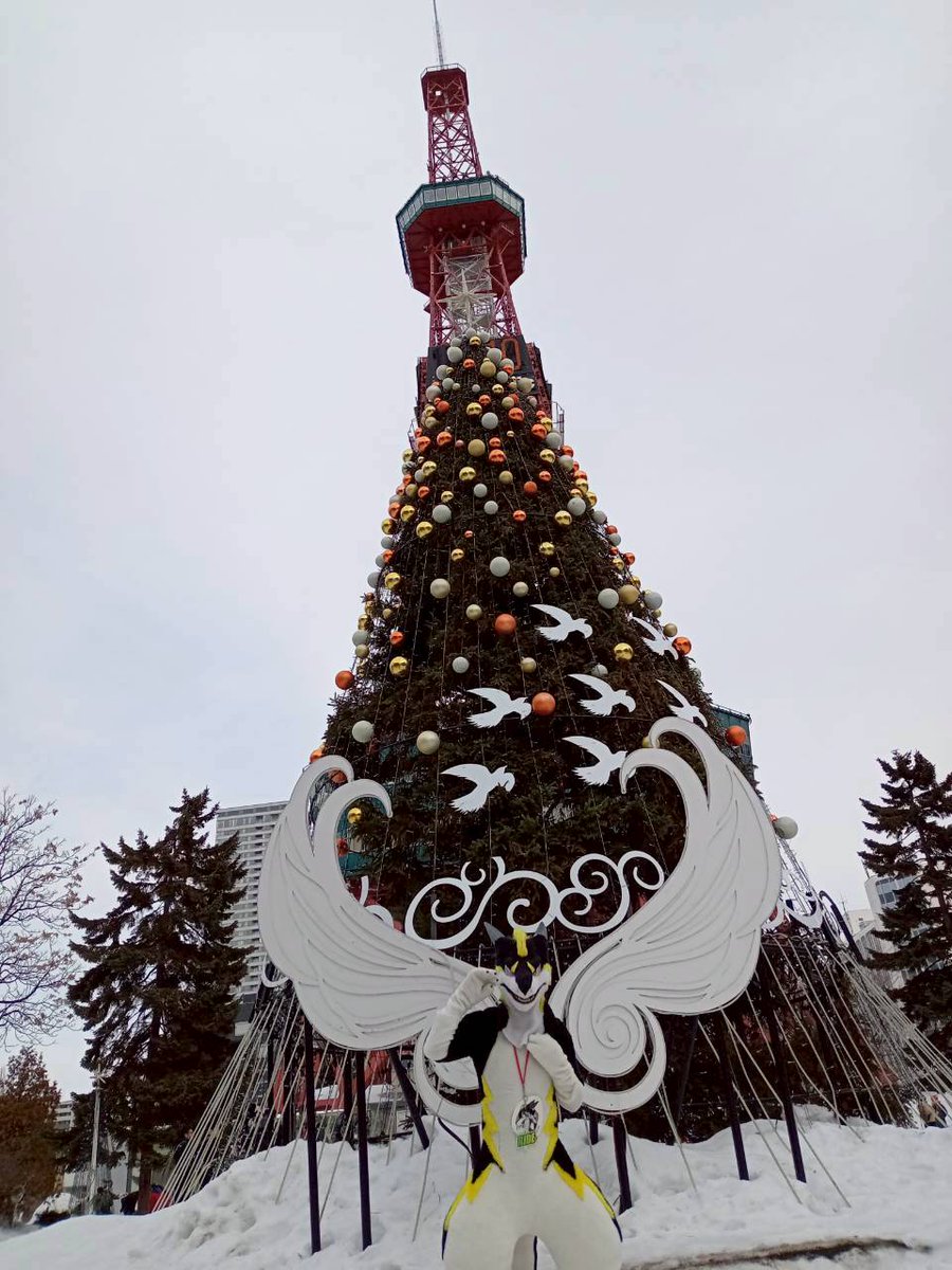 ゴマ(Goma) tweet media