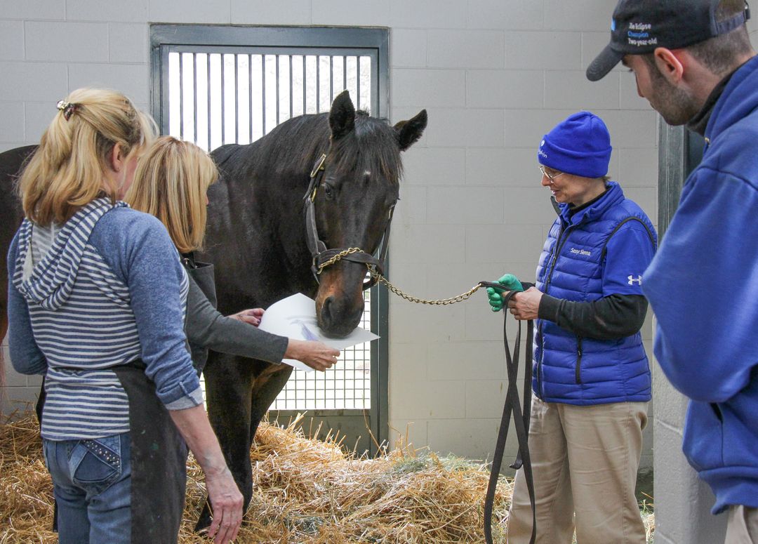 AfterFinishLine's tweet image. 2007 #KentuckyDerby winner Street Sense also finished 2nd in the #Preakness! He painted Moneighs @DarleyStallions to support #OffTrackThoroughbreds for our charity &amp;amp; ReRun TB Adoption. HOF trainer Carl Nafzger/HOF jockey Calvin Borel. Bid to win-Sun, 4/19, ebay.com/str/rerunthoro…