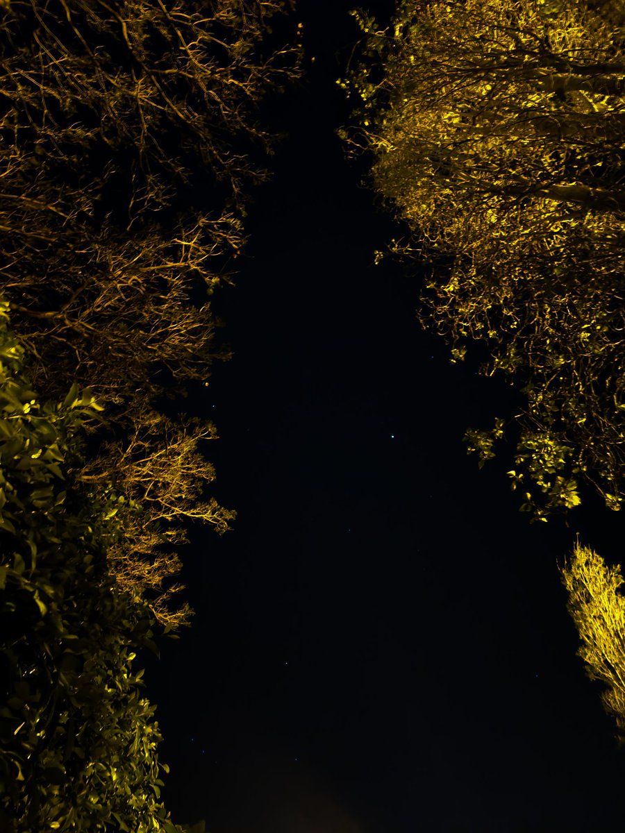 رُومَيسـاء 𓂆 tweet media