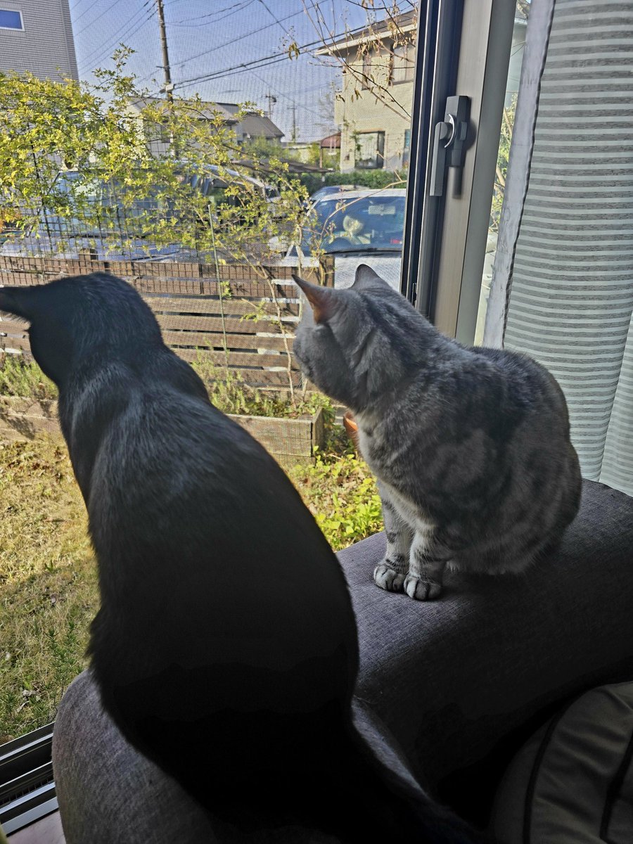 ✻カグ茶 to 諭吉✻ tweet media