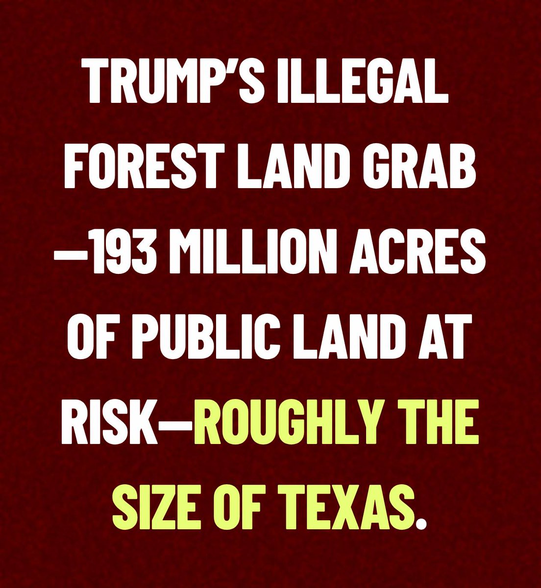 💙 Dr. MemeNstein votes 💙 BLUE 🇺🇸🦅 tweet media