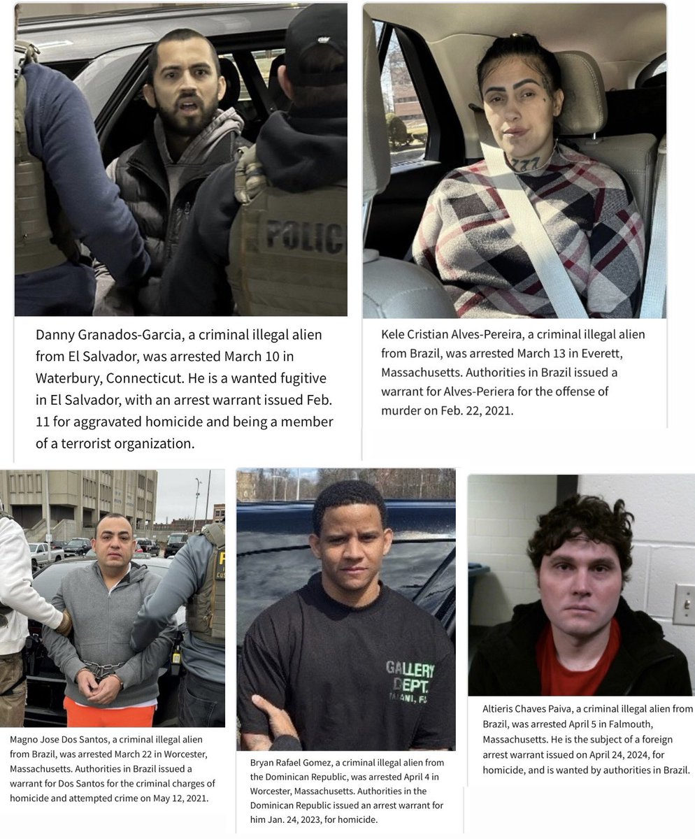 Ali Bradley tweet media