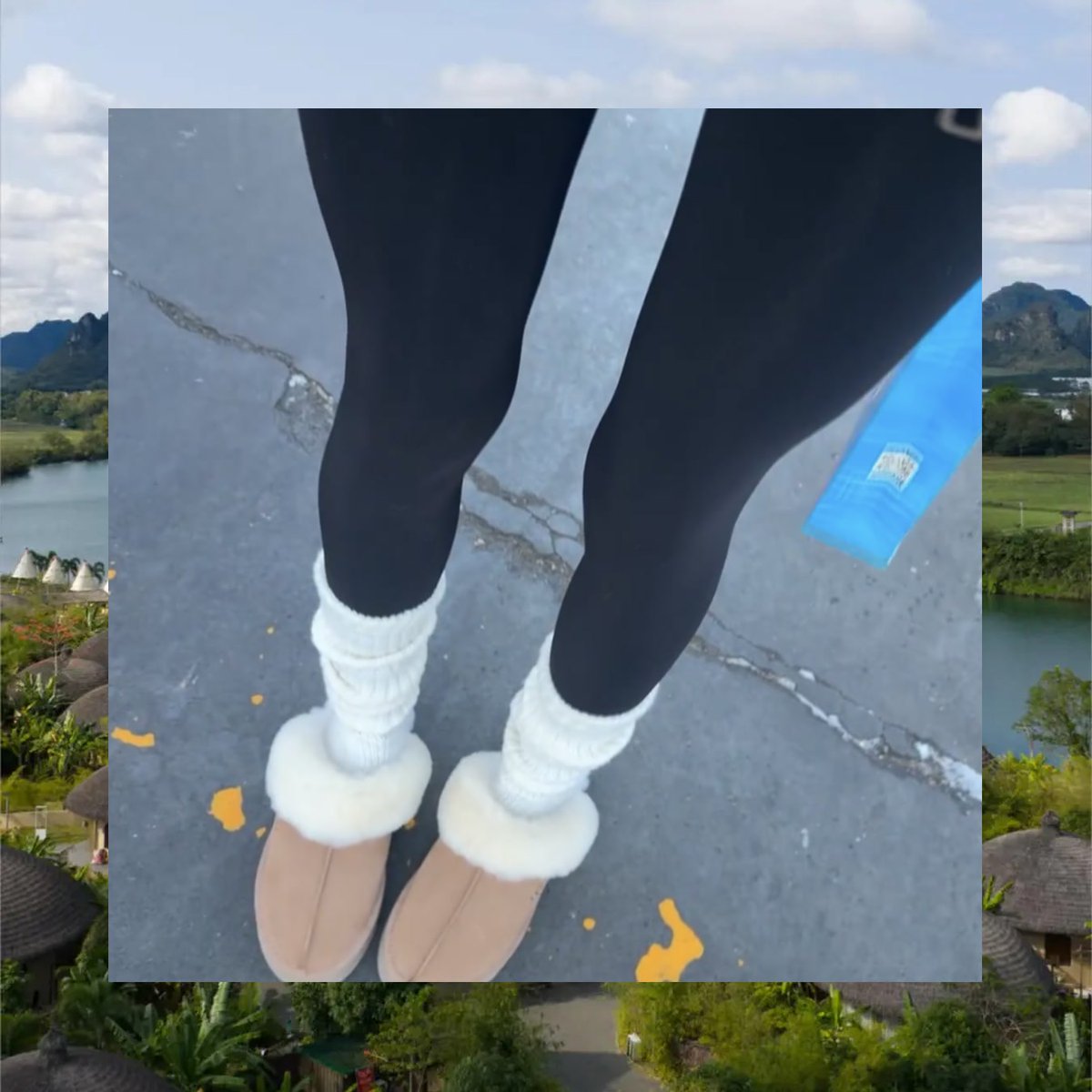 Lisa Wolfe tweet media