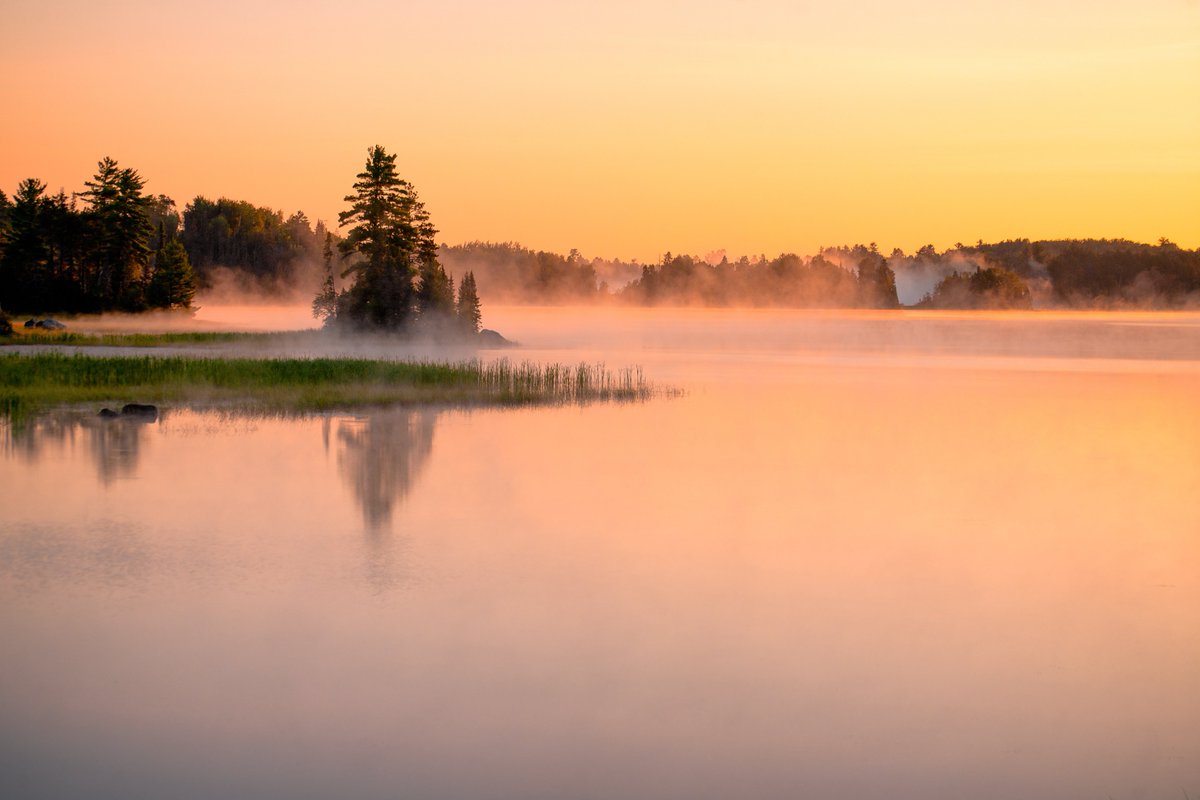 daviss 📸 tweet media