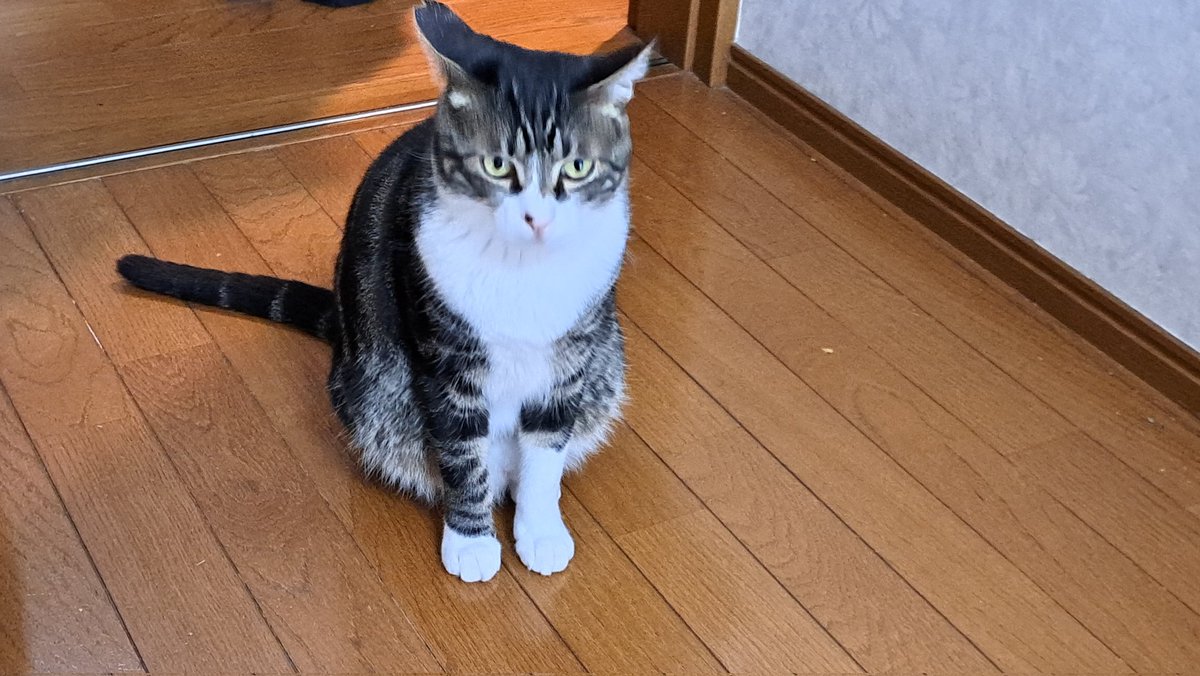 安らぎAQUAちゃんねる【YouTube】 tweet media