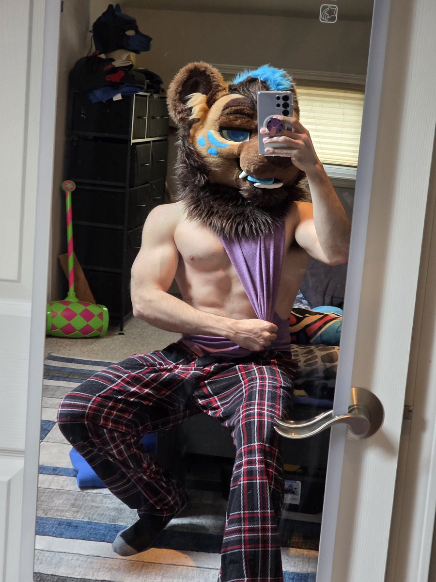 Mischief After Bork 🔜 TFF tweet media