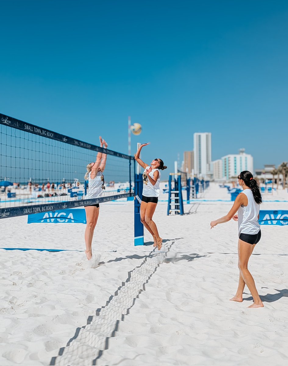 WSC Wildcat Volleyball tweet media