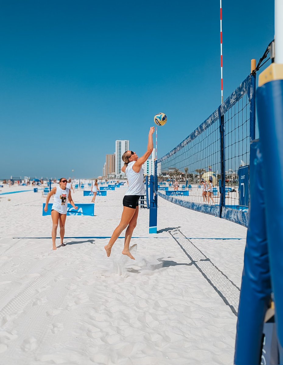 WSC Wildcat Volleyball tweet media