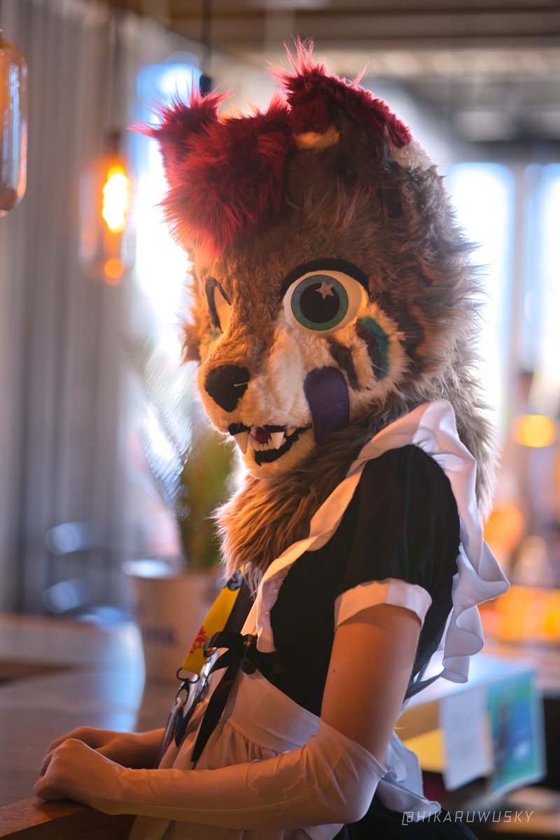 Zackadooodle's tweet photo. Im a very hard working maid :p
Am i a cute one?
📸: @HikaruWusky 
📍: NordicFuzzCon 2026
🐾🐾
#nordicfuzzcon #maid #furry #nfc2026 https://t.co/bX9WtOEnMa