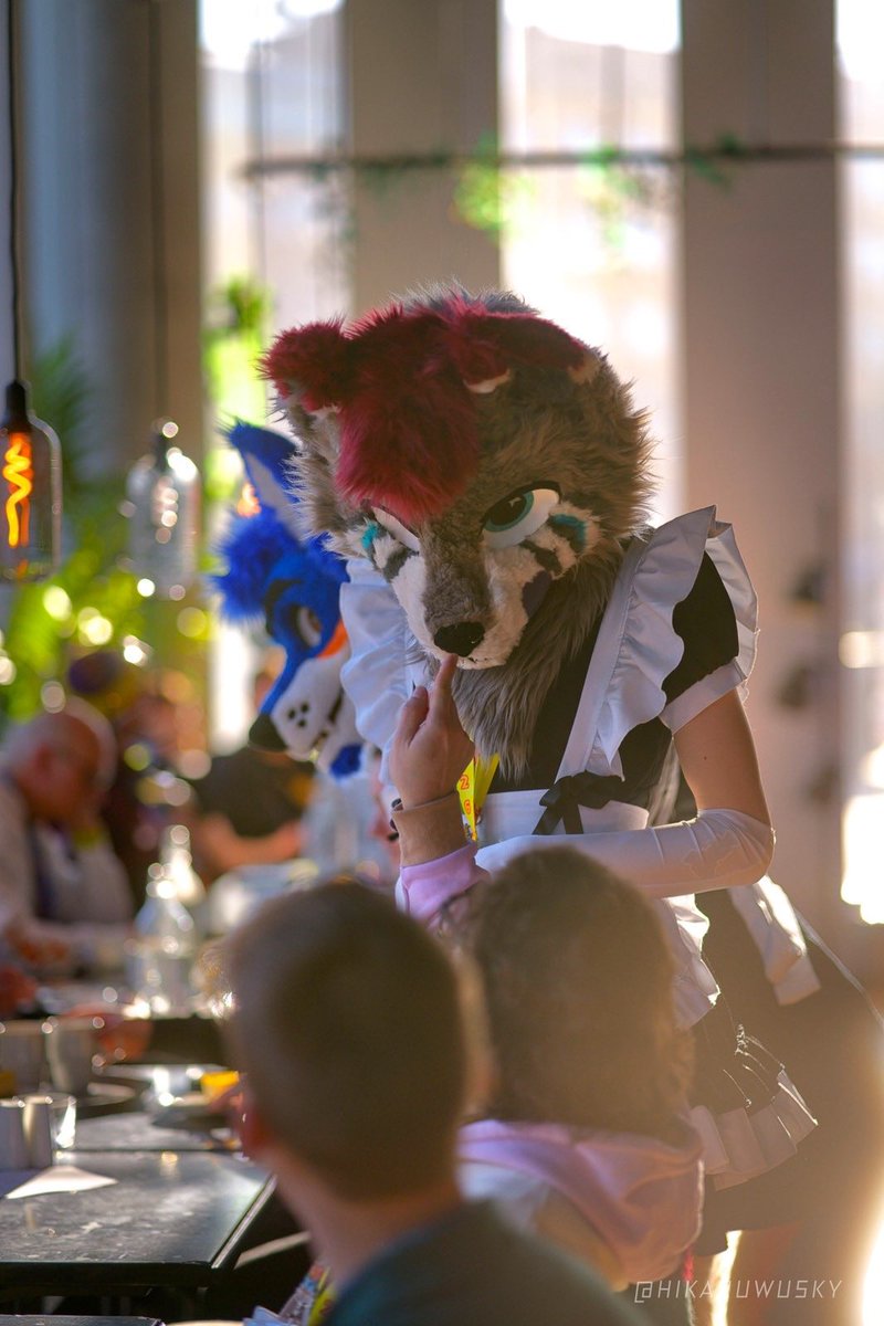 Zackadooodle's tweet photo. Im a very hard working maid :p
Am i a cute one?
📸: @HikaruWusky 
📍: NordicFuzzCon 2026
🐾🐾
#nordicfuzzcon #maid #furry #nfc2026 https://t.co/bX9WtOEnMa