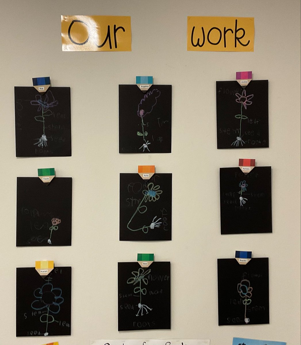 AbernathyPreK's tweet photo. Today, for the Week of the Young Child, was Artsy Thursday.  We used black paper and neon paint sticks to draw a flower and label the parts with a white crayon! @DeganElementary #rockyourrole #wearedegan https://t.co/eTjNOiaNz9