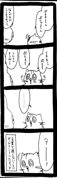 通じない思い 