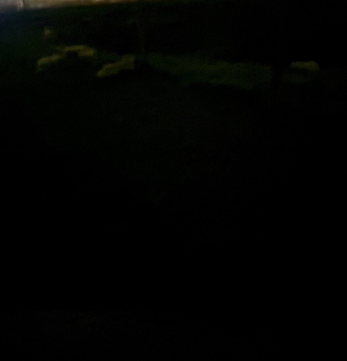 rottingjae tweet media