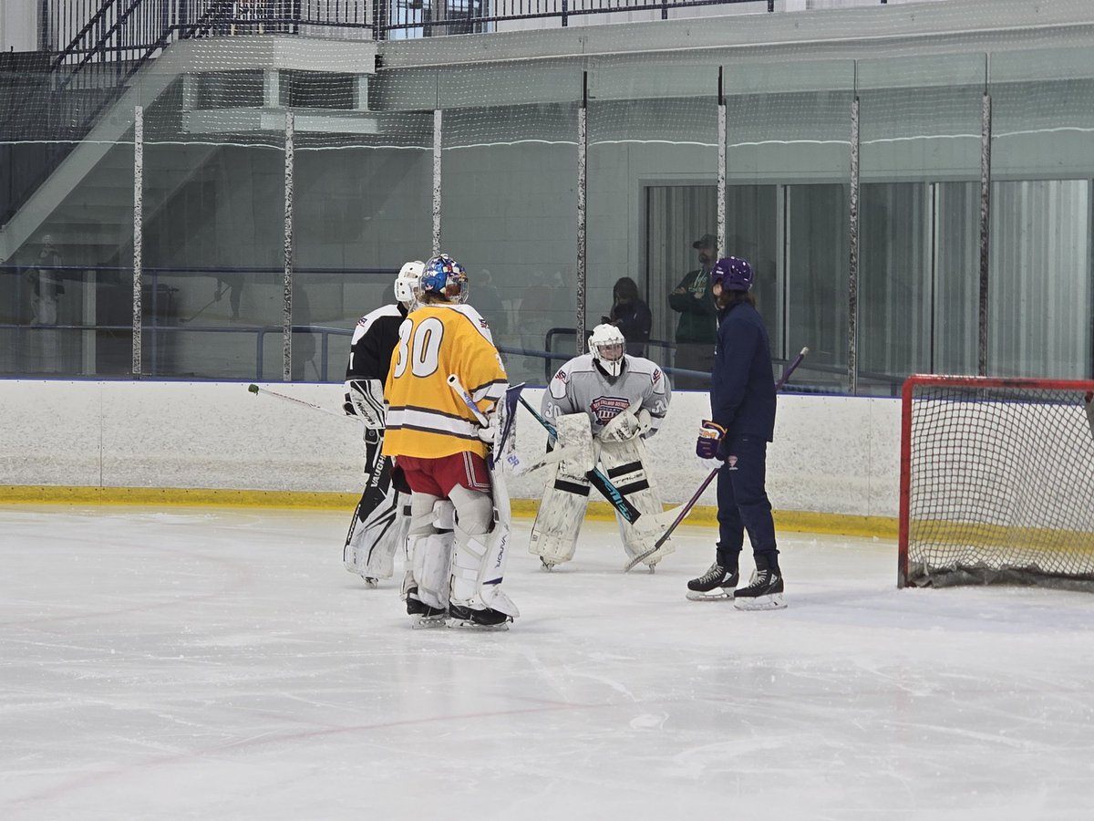 NED USAH Player Dev. tweet media