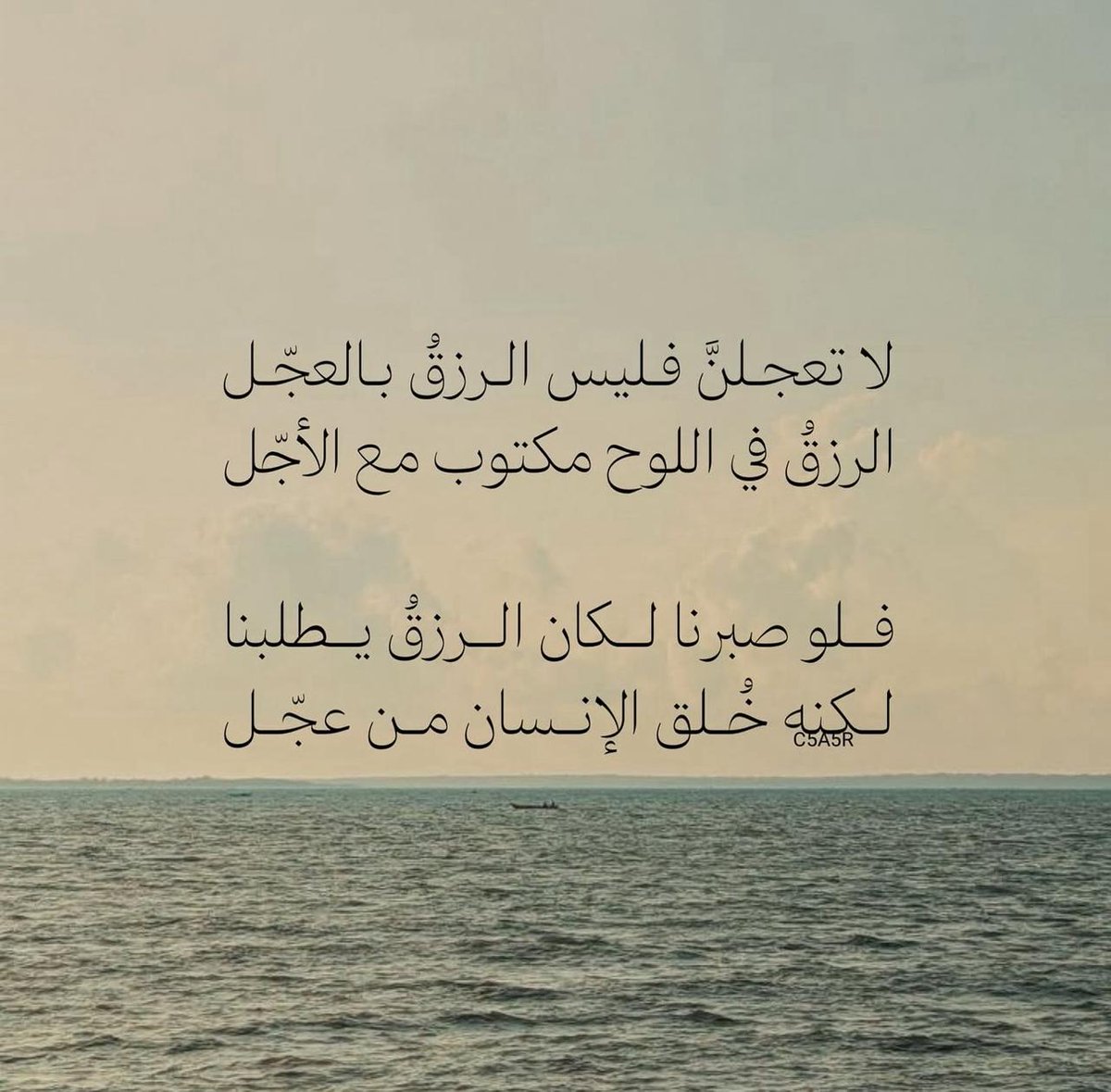 فــذكِّر tweet media