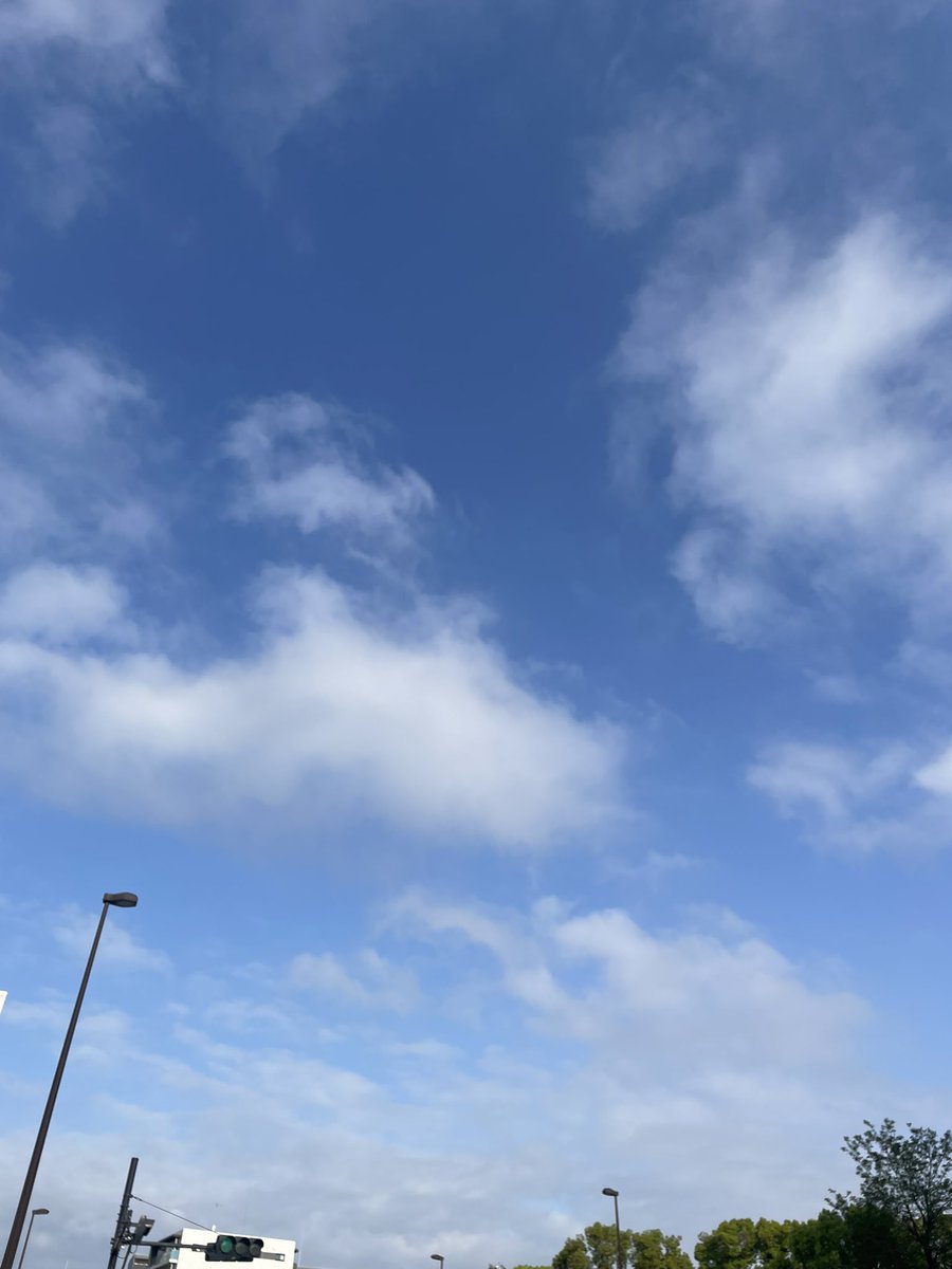 マシマシ tweet media