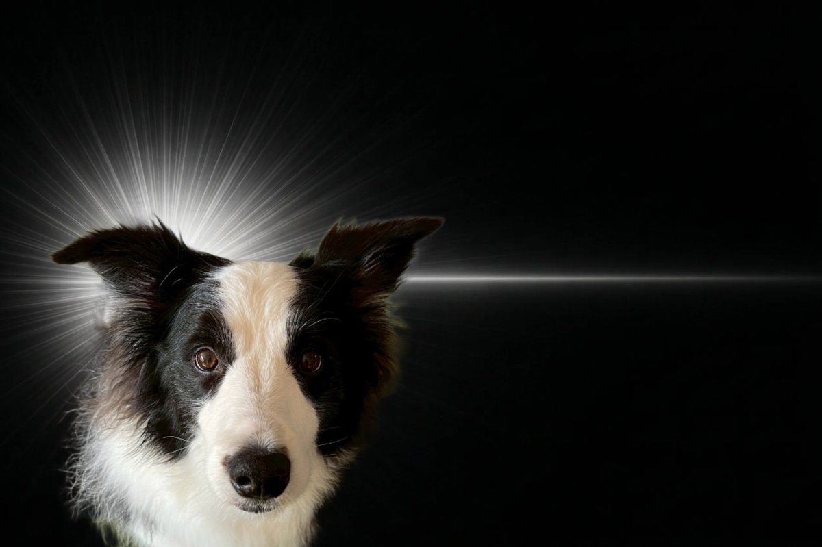 チョコ味噌汁 tweet media