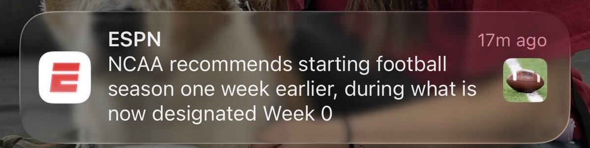 The Hogs Probs tweet media