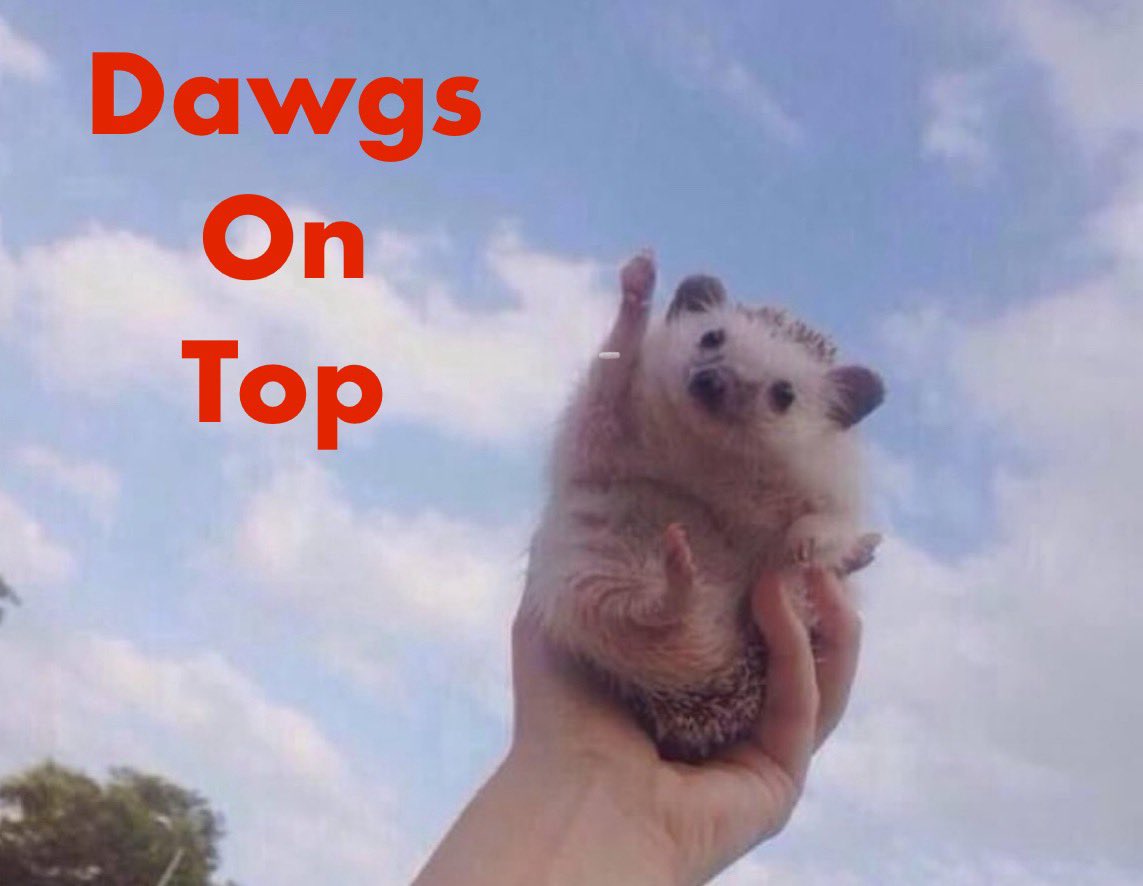 Fletcher Proctor tweet media