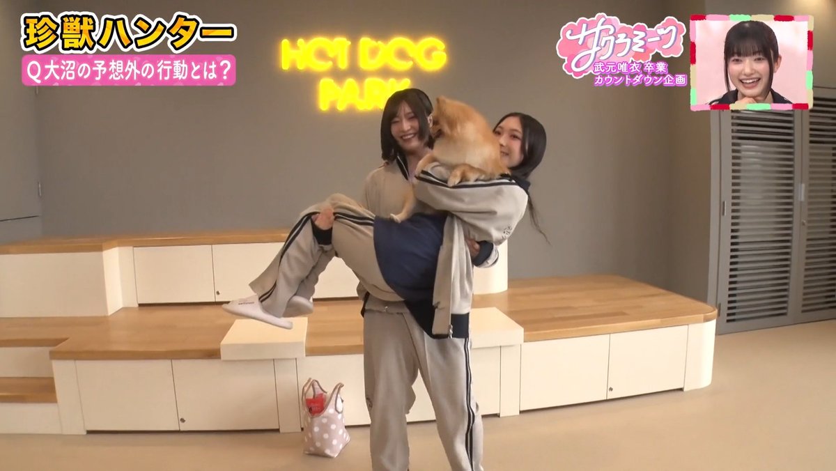 lil_$aku$aku⊿🌸 tweet media