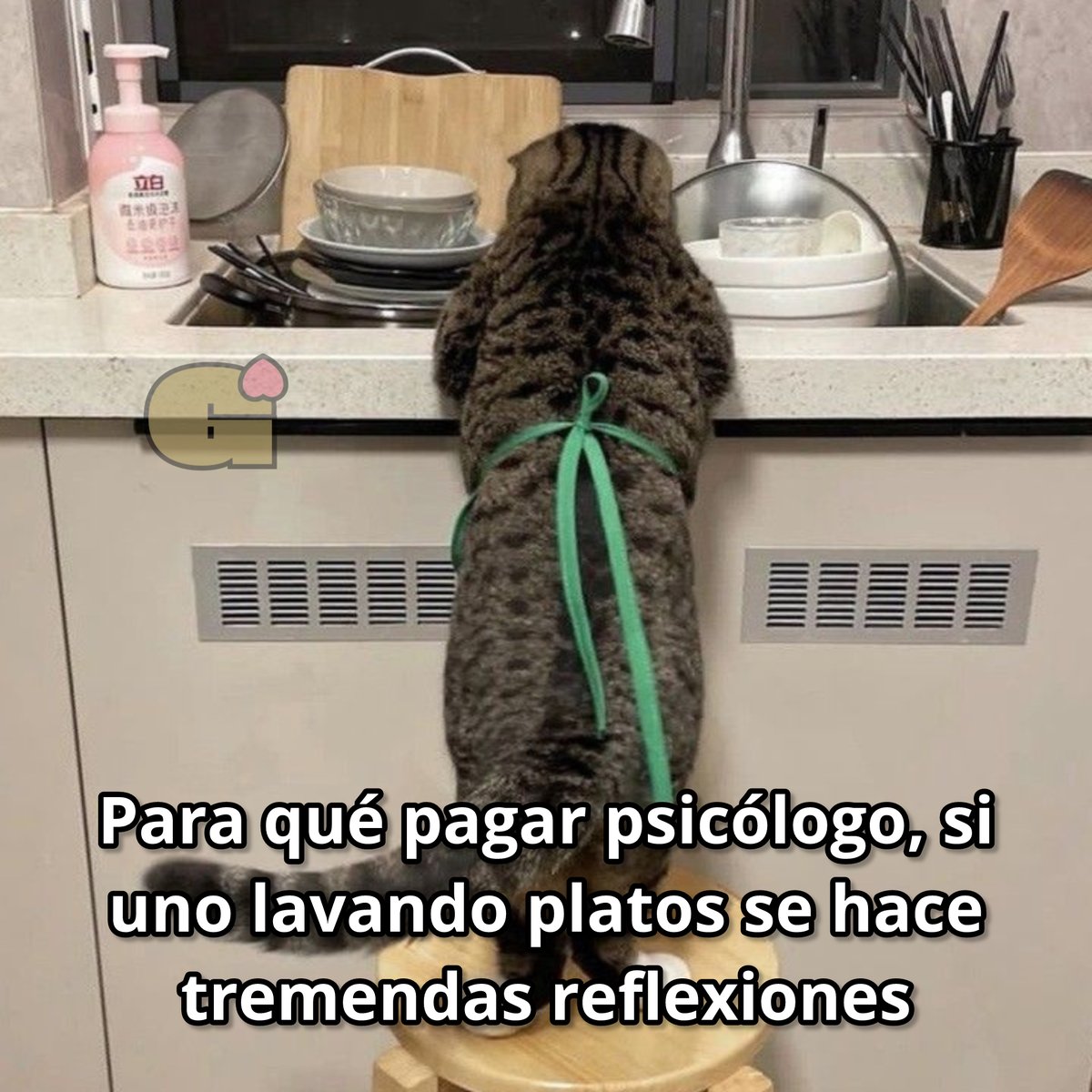 La neta.