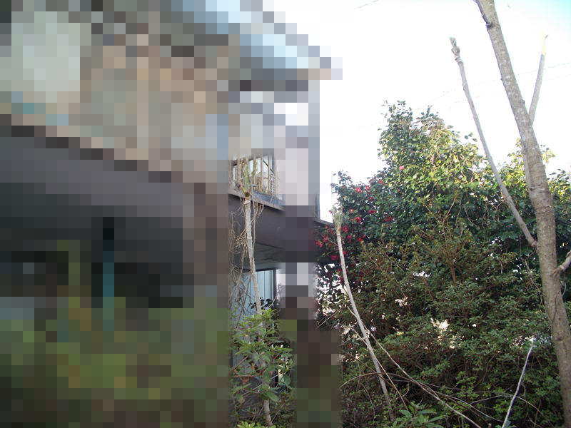 もﾘ tweet media
