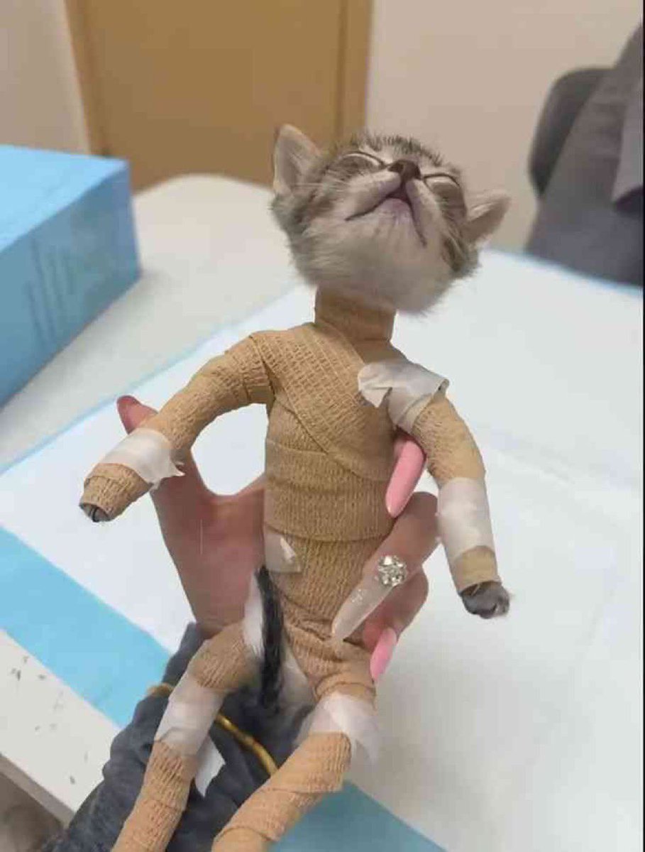 MIBR kwisatz tweet media