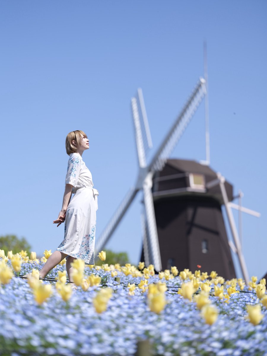 𝐢𝐭𝐨𝐫𝐢𝐝𝐨𝐫𝐢🕊️ tweet media