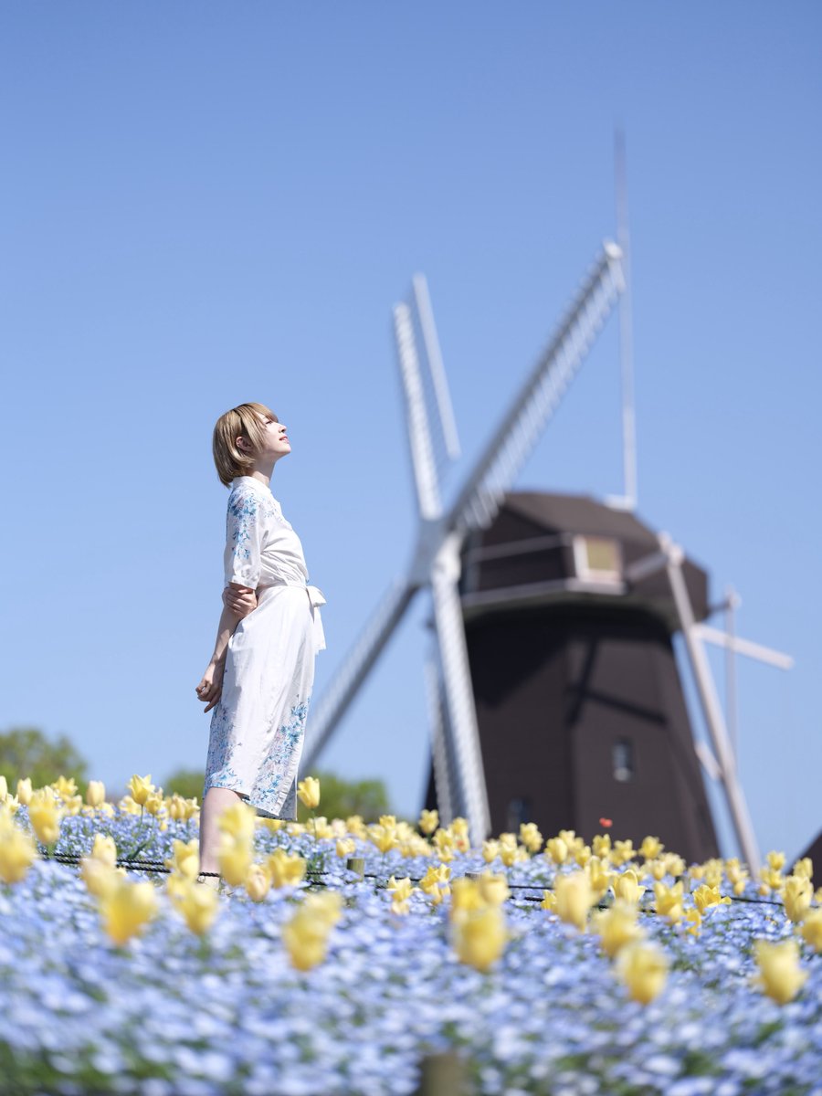 𝐢𝐭𝐨𝐫𝐢𝐝𝐨𝐫𝐢🕊️ tweet media