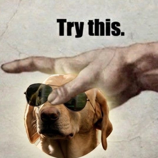 Ellia($DOG ARC) tweet media