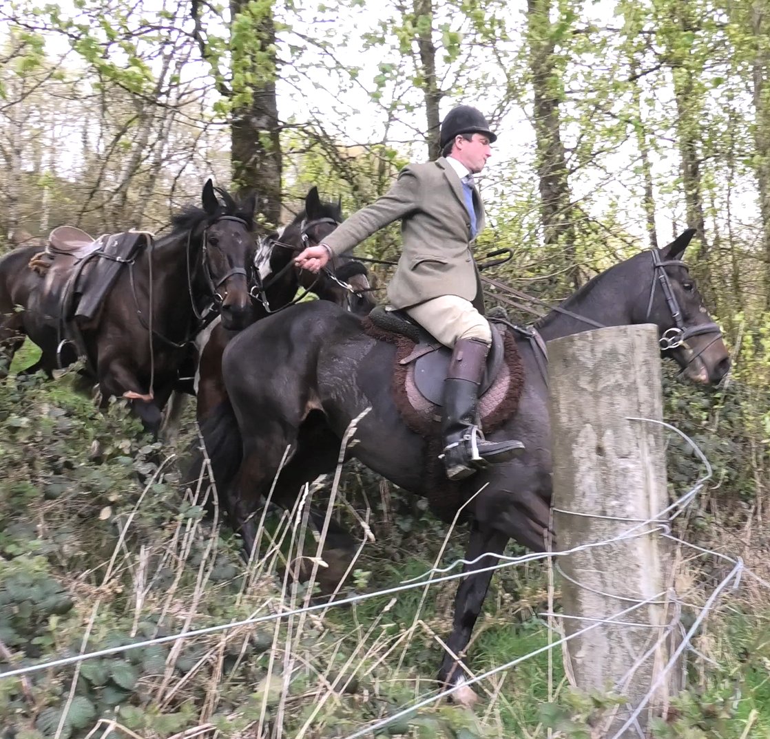 North Dorset Hunt Saboteurs tweet media