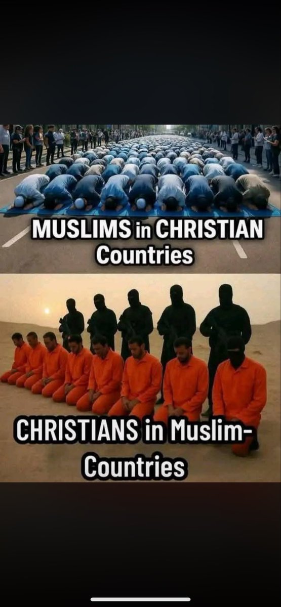 Anti Liberal tweet media