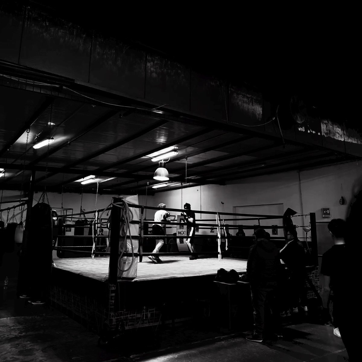 𝑨𝑹K, tweet media