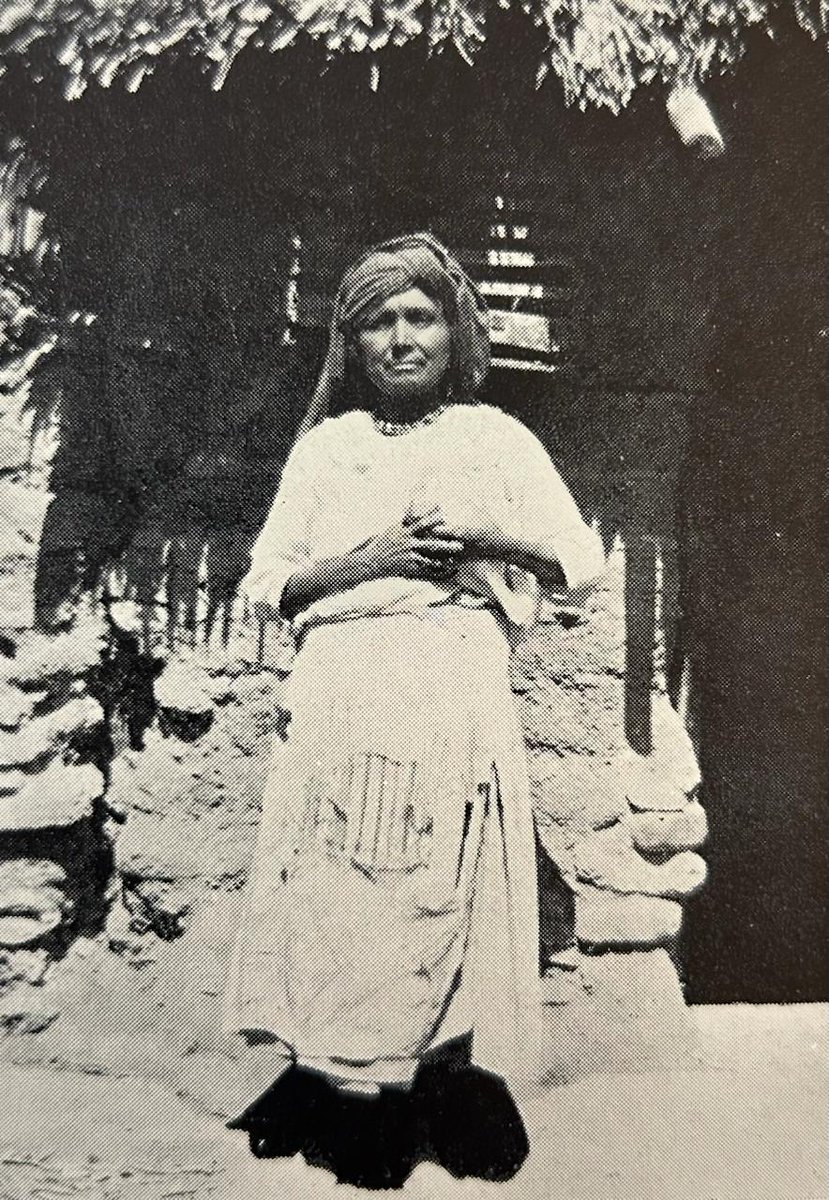 Biblioteca Burgoa tweet media